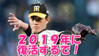 藤波晋太郎 引退
